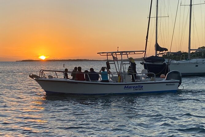 Puerto Rico: Bio Bay Swim and Sunset Charter & Late Night Tour - Tour Details and Requirements