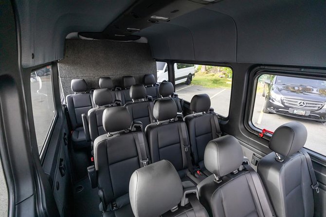 Puerto Rico Island Wide Private Transfers, 14Pax Lux Sprinter Van - Infant and Child Seats