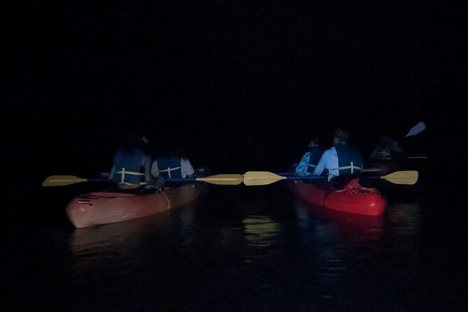 Puerto Rico: Kayaking in Magical Bioluminescent Bay - Visibility Unpredictability