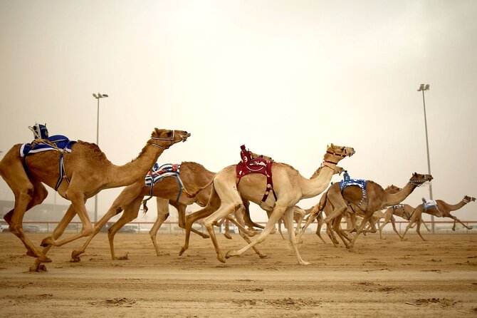 Qatar West Coast Tour to Richard Serra Sculpture and Mushroom Rock Formation - Meeting and Pickup