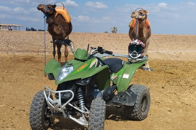 Quad in the Palm Grove of Marrakesh - Pickup and Meeting Point