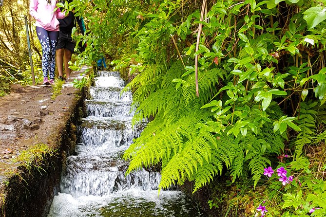 Rabacal 25 Fountains Levada Walk in Small Groups - Pickup and Duration Details