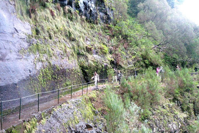 Rabaçal - Risk - 25 Sources Levada Walk - Tour Itinerary and Highlights