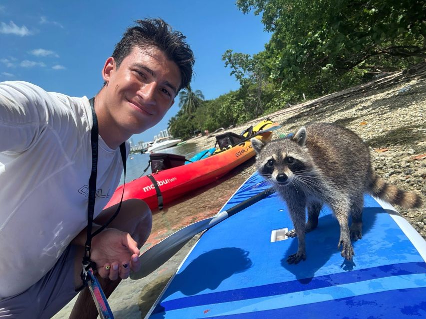 Raccoon Island: Exploration on SUP/Kayak - Experience and Highlights