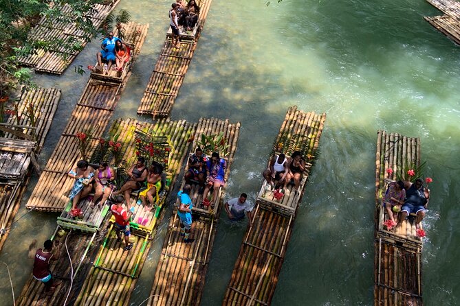 Rafting on the Martha Brae - Captivating Wildlife Sightings