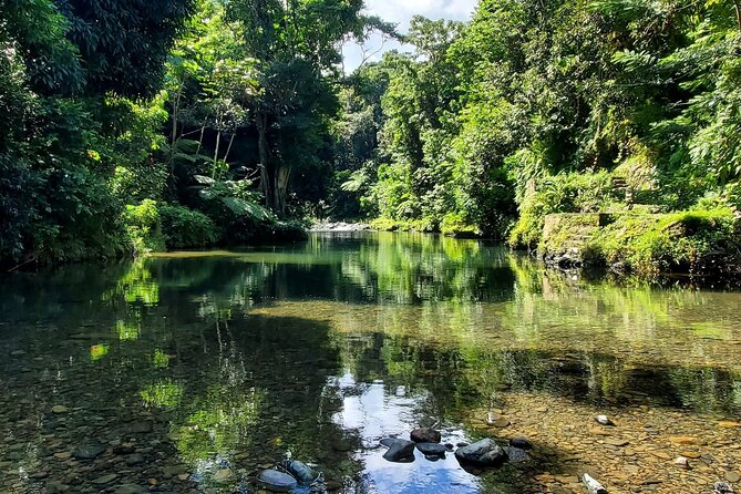 Rainforest and Junglequi Zipline Combo Tour - Meeting and Pickup