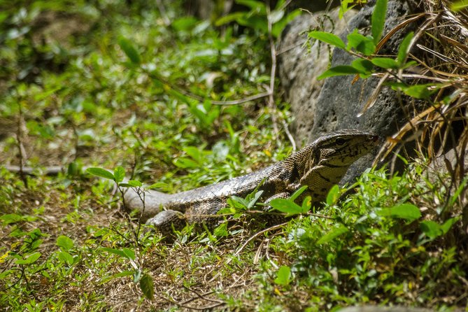 Rainforest Tour - Whats Included