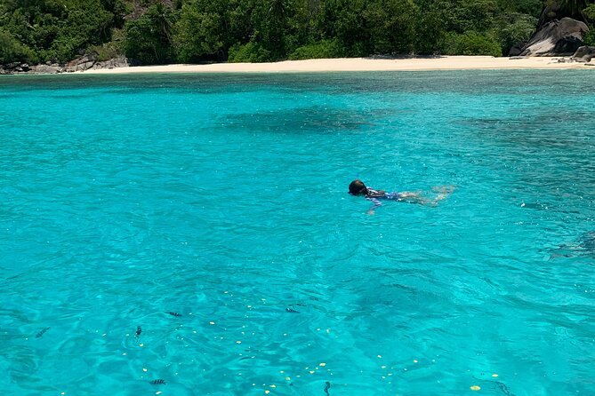 Reef Safari - Snorkeling, Fish Feeding & Lunch (Shared Day Trip) - Snorkeling Around Moyenne Island