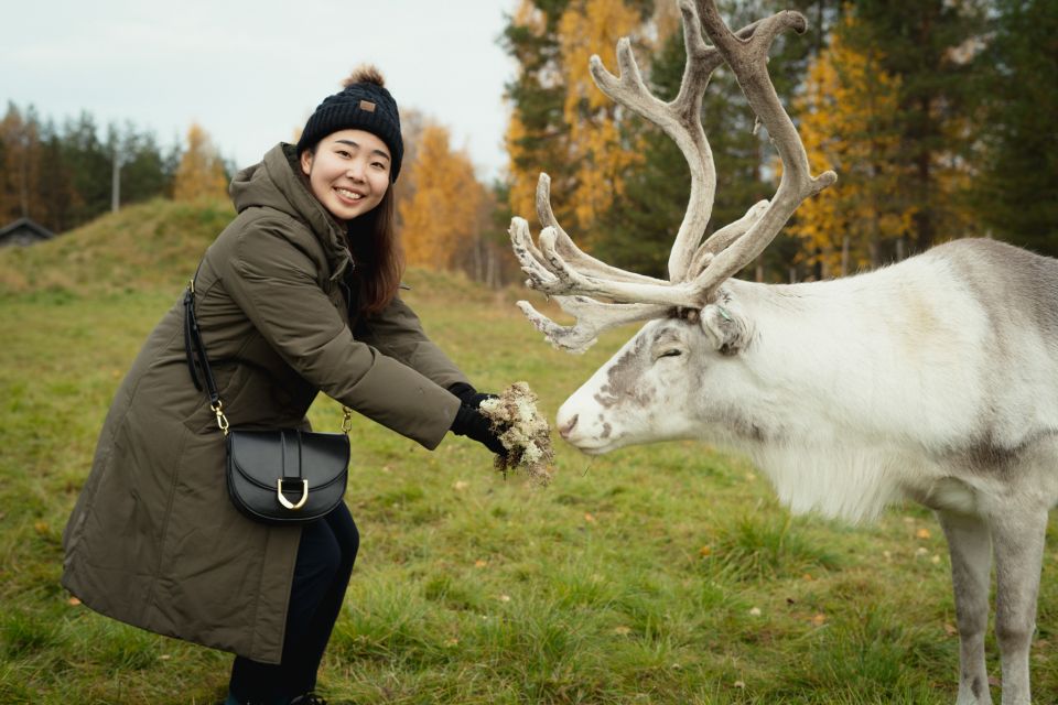 Reindeer Farm Visit With Professional Photographer - Authentic Reindeer Farm