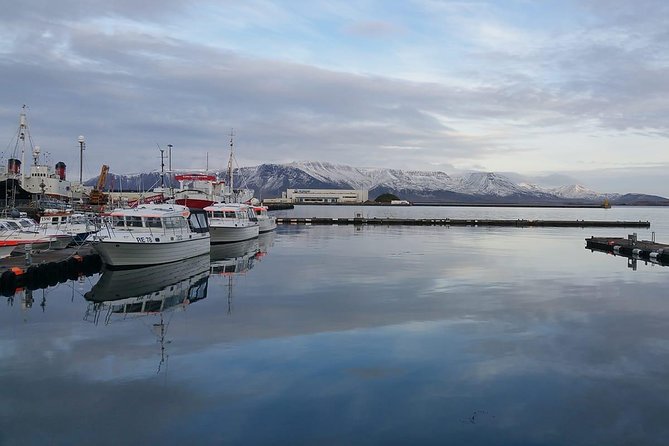 Reykjavik Main Sights and Hidden Spots: A Self-Guided Audio Walk - Discovering Quirky Street Art and Murals