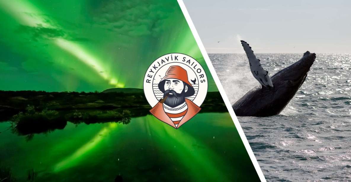 Reykjavik: Whale Watching & Northern Lights Combo Cruise - Itinerary