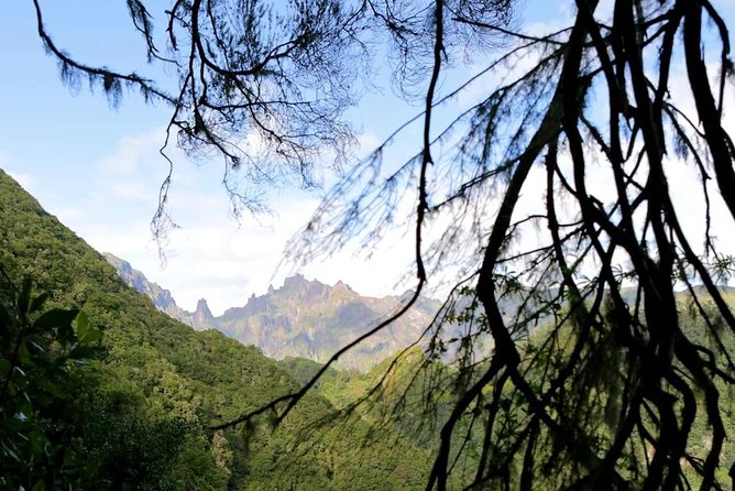 Ribeiro Frio - Portela - Panoramic Trail and Coastline Views