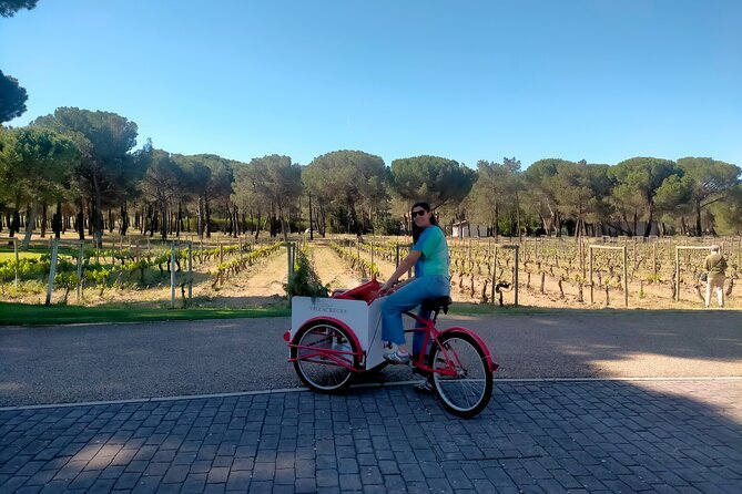 Ribera Del Duero 1 Day Wine Tour in English From Madrid - Tour Details