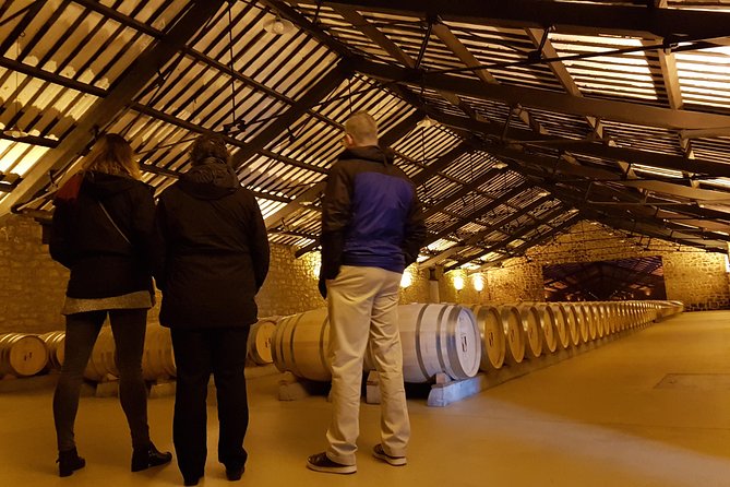 Rioja Full Experience Tour From San Sebastian With Lunch - Comprehensive Tour Itinerary