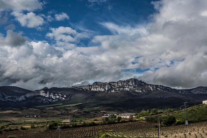 Rioja Wine Tour: Winery, Tasting & Lunch From San Sebastian - Traditional 2-Course Lunch