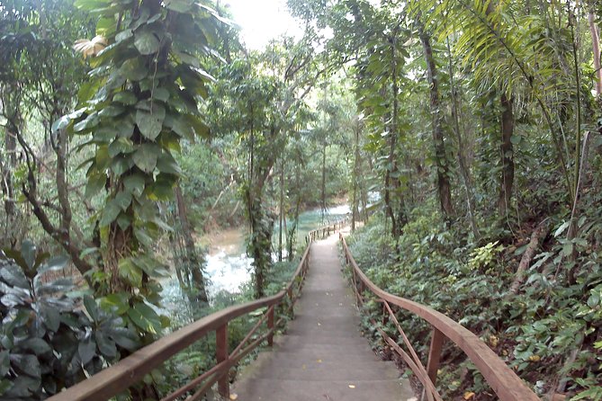 River Tubing Down Famous River - Exploring Montego Bays Waterways