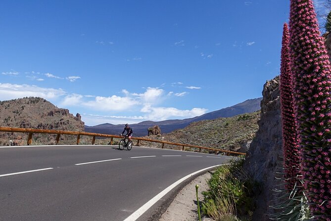 Road Cycling Tenerife - Teide Route - Meeting and Pickup Details