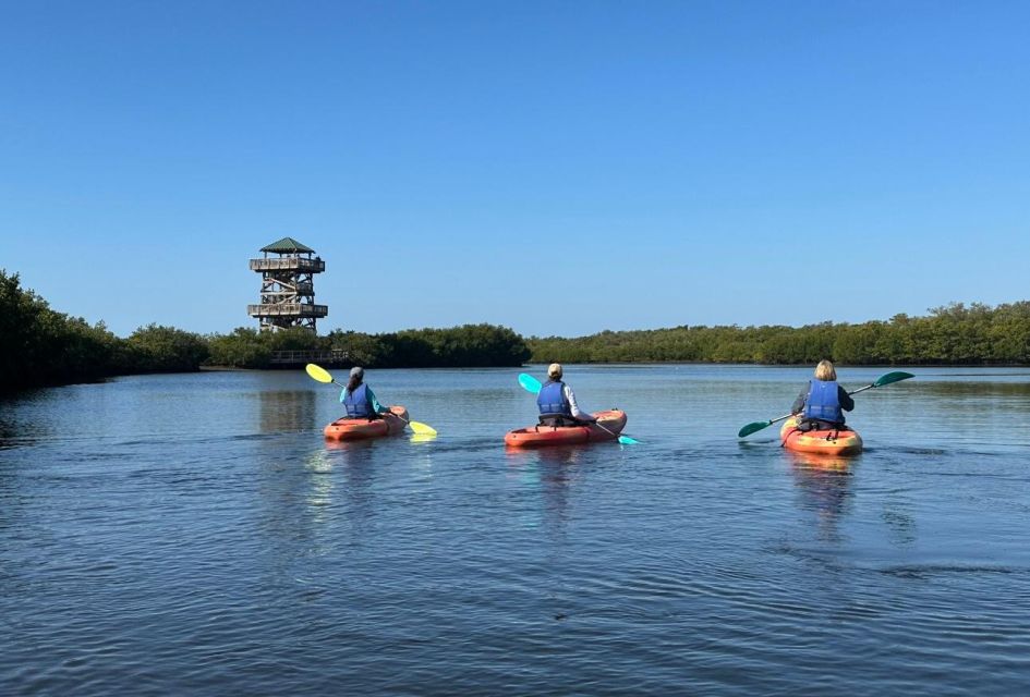 Robinson Preserve Mangrove Tour - Experience Highlights