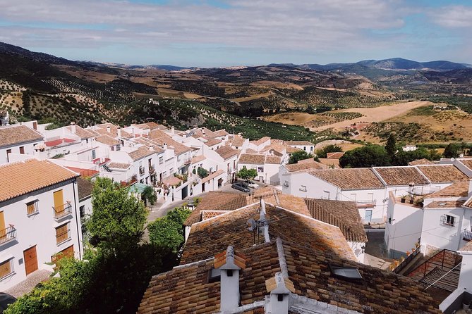 Ronda & White Villages Small Group Tour From Seville - Inclusions and Logistics