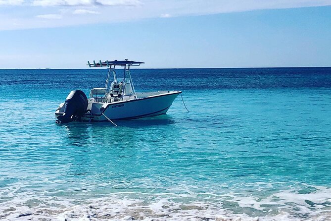 Rose Island Half-Day Snorkeling Cruise - Safety and Medical Concerns