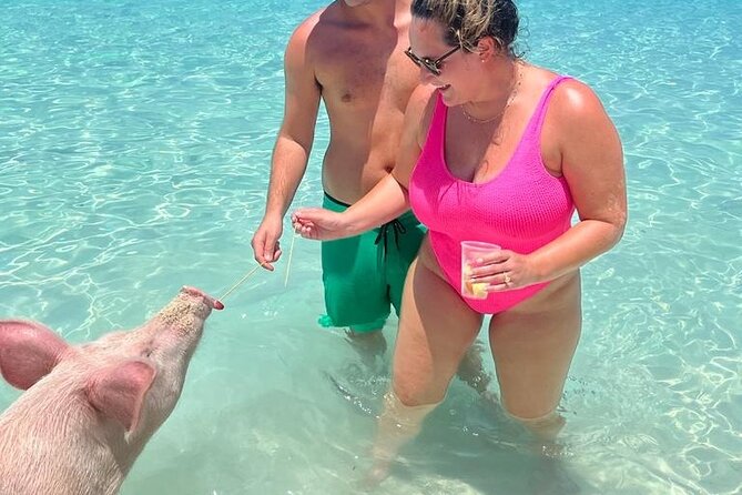 Rose Island Private Beach: Swimming With the Pigs - Accessibility and Restrictions