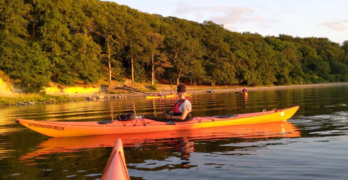 Roskilde: Guided Kayaking on Roskilde Fjord: Private Tour - Kayaking Experience and Activities