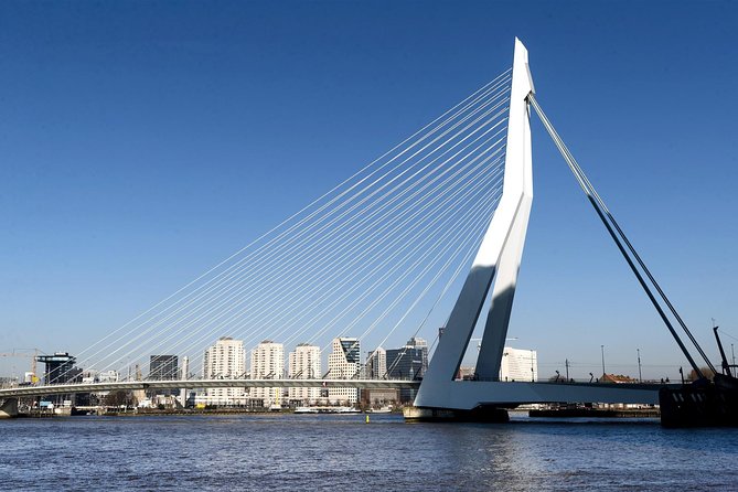 Rotterdam Grand South Holland Private Tour - Tour Details