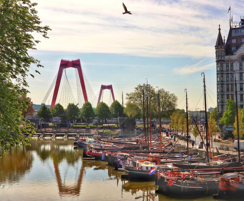 Rotterdam: Walking Tour With Audio Guide on App - Booking and Cancellation