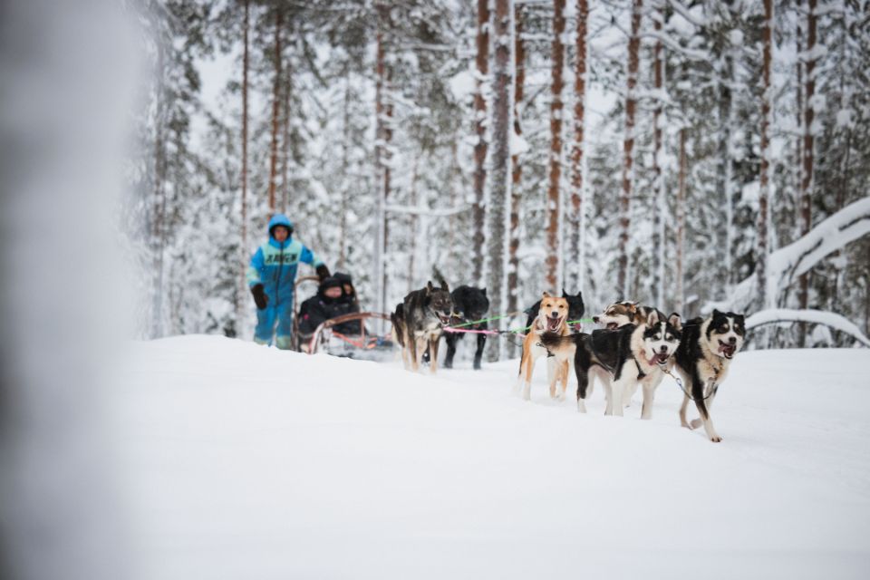 Rovaniemi: Arctic Circle Highlights by Snowmobile - Itinerary Highlights