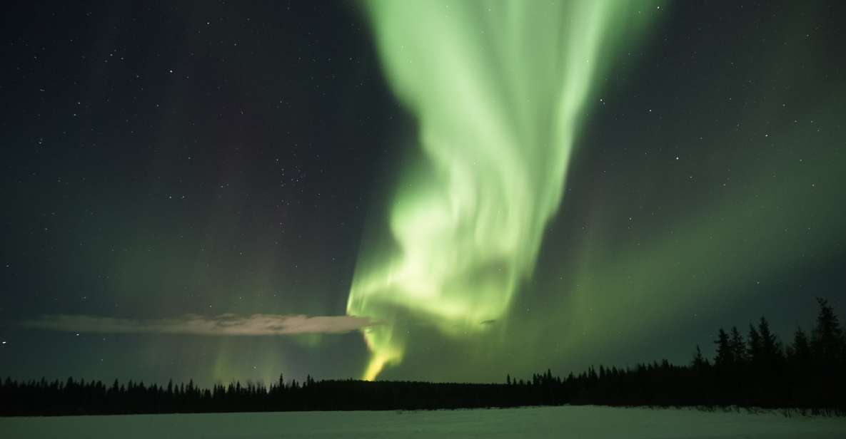 Rovaniemi: Aurora Borealis Hunting Photo Tour - Highlights of the Experience