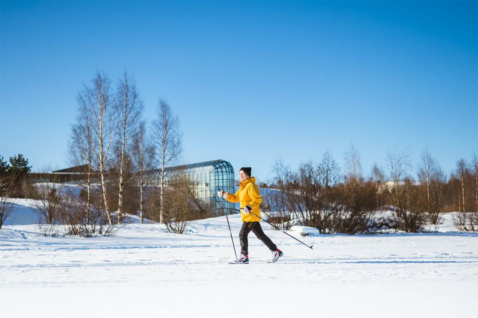 Rovaniemi: Cross Country Wilderness Ski Adventure - Mastering Cross-Country Skiing Techniques