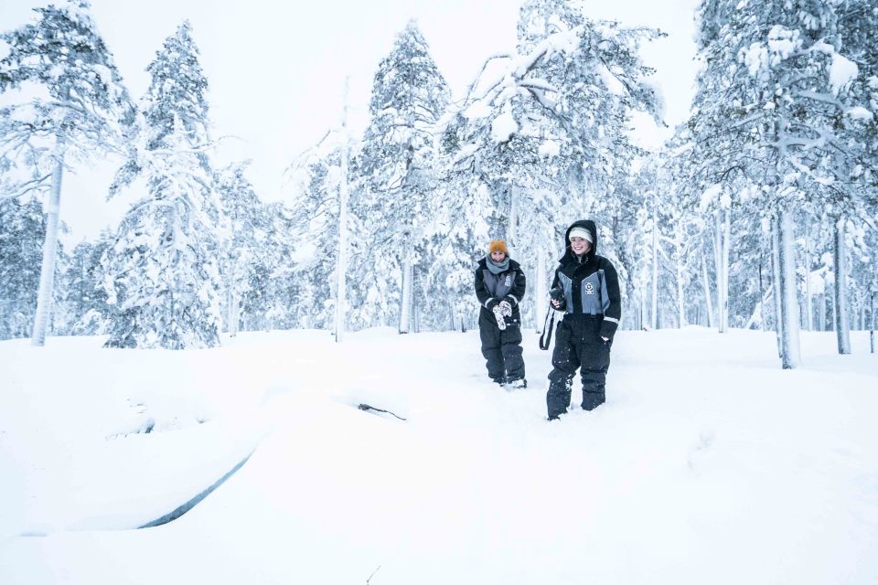 Rovaniemi: Nordic Forest Wilderness Adventure - Inclusions and Highlights