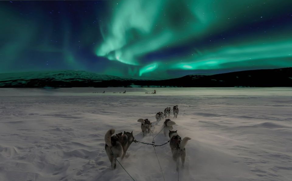 Rovaniemi: Northern Lights and Husky Sleigh Ride - Husky Sleigh Ride Journey