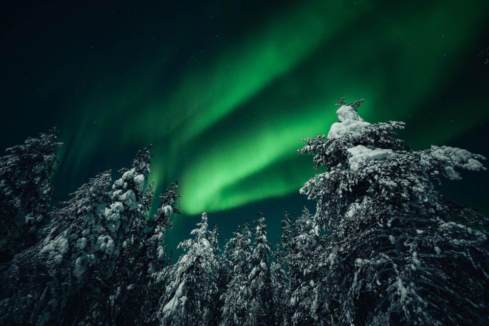 Rovaniemi: Northern Lights Hunt With a Photographer - Highlights of the Experience