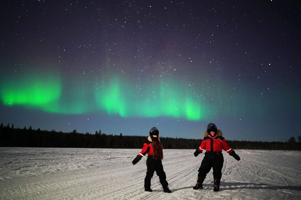 Rovaniemi: Northern Lights Sleigh Ride - Highlights of the Experience