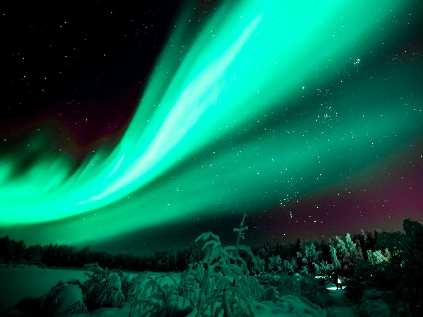 Rovaniemi: Northern Lights Tour With Guaranteed Sightings - Inclusions