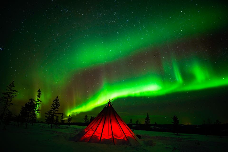 Rovaniemi: Northern Lights Wilderness Tour With Camera - Inclusions and Highlights