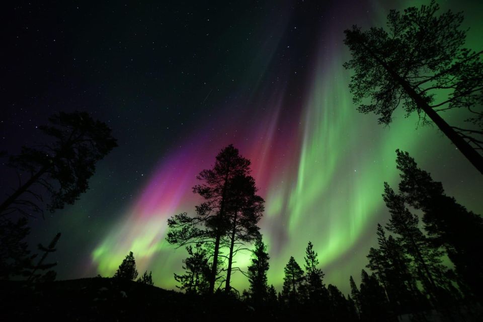 Rovaniemi : Private Midnight Aurora Borealis Expedition - Customized Northern Lights Adventure