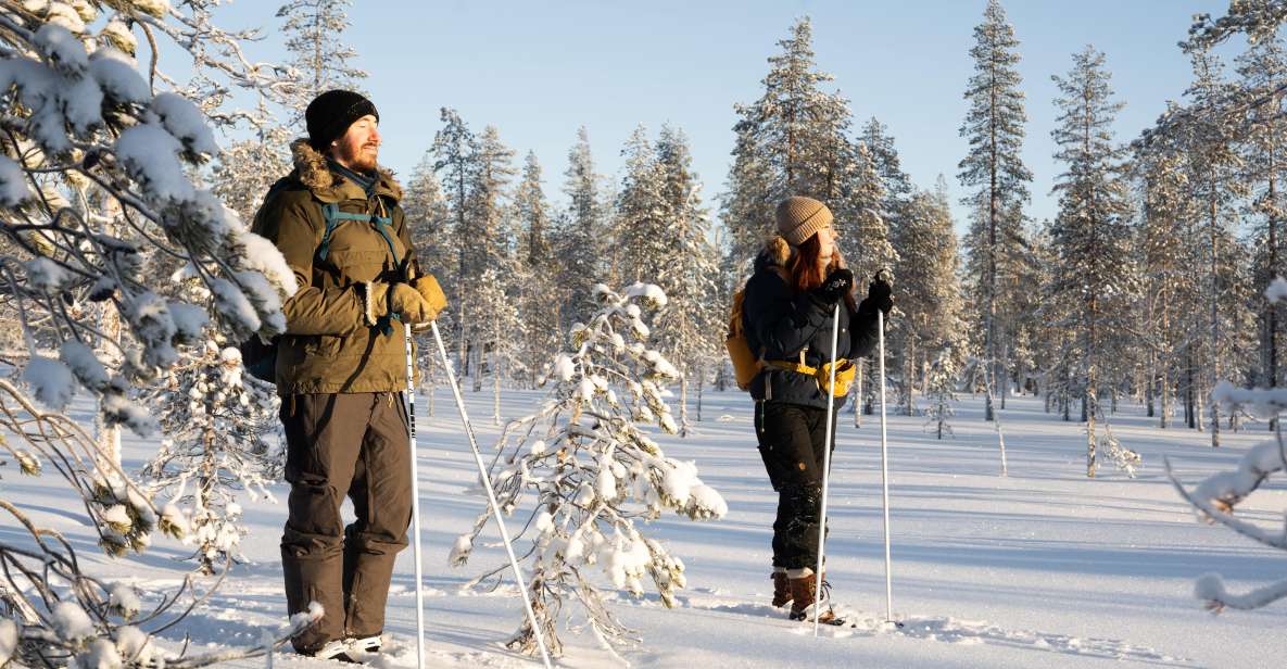 Rovaniemi: Small-group Ski Trek to the Wilderness - Trekking Through the Forests