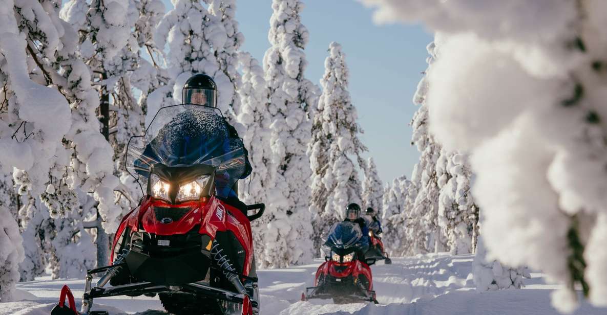 Rovaniemi: Snowmobile Adventure Tour for Adults Only - Highlights