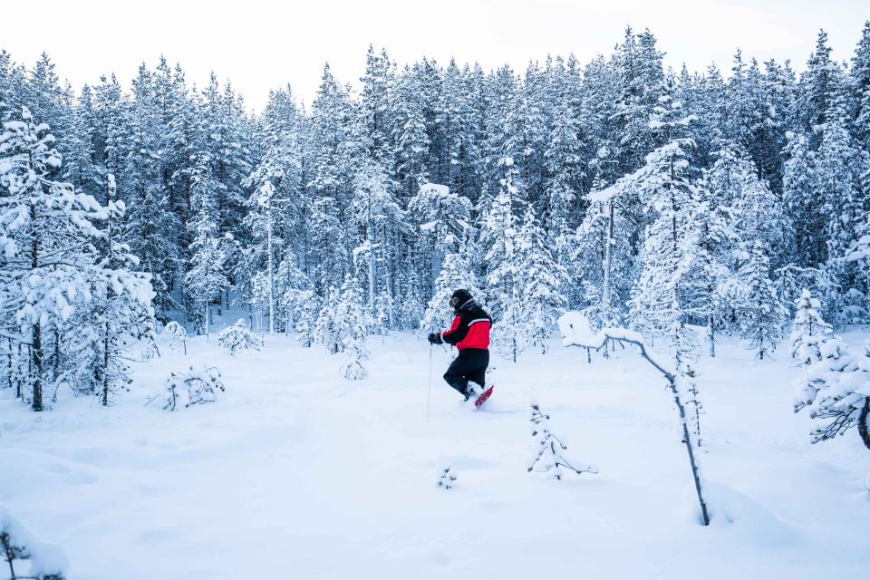 Rovaniemi: Snowshoe Wilderness Adventure - Detailed Itinerary