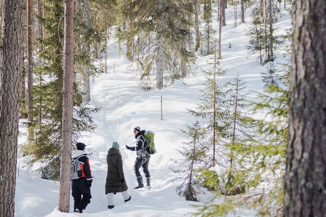 Rovaniemi - Visit to The Frozen Waterfalls of Korouoma - Admiring the Korouoma Waterfalls