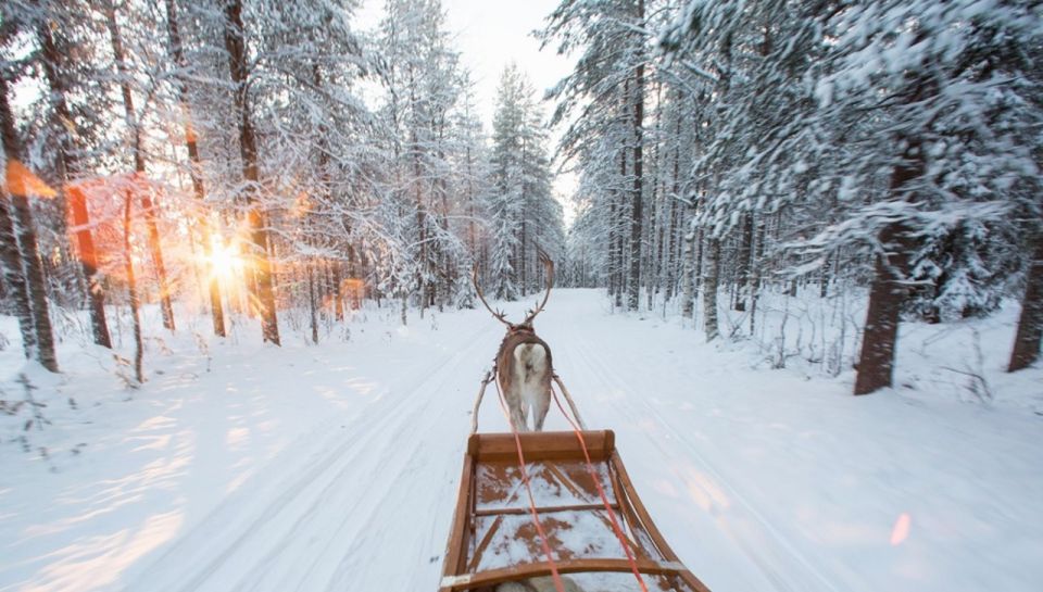 Rovaniemi: Winter Snowshoeing, Reindeer & Husky Sleigh Ride - Snowshoeing in Lappish Landscapes