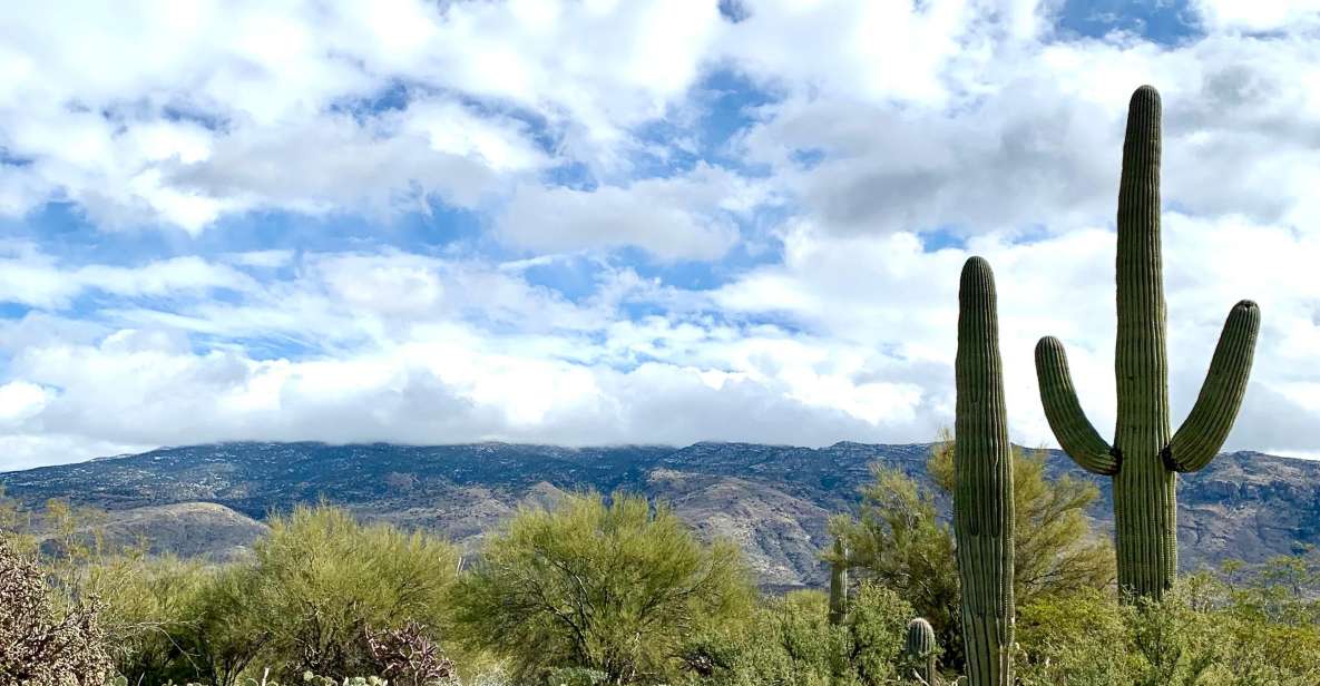 Saguaro National Park: Day Tour & Hike - Diverse Wildlife Encounters