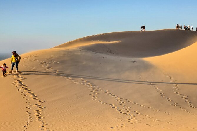 Sahara Dunes & Paradise Valley Day Trip From Agadir - Included Experiences