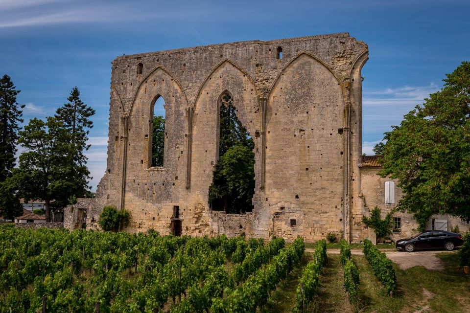 Saint Emilion Half Day Ebike and Wine Tour With Picnic - Inclusions