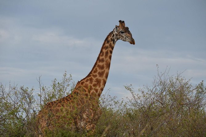 Samburu/ Aberdare/ Lake Nakuru/ Masai Mara 7 Days Safari - Inclusions and Exclusions