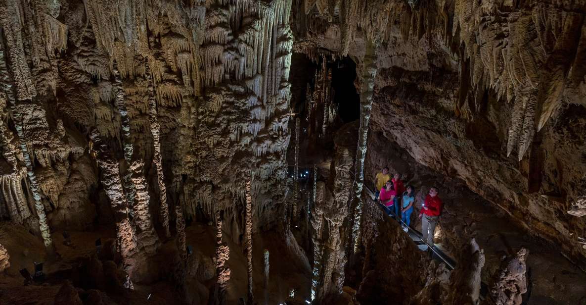 San Antonio: Discovery Tour at Natural Bridge Caverns - Caverns Captivating Features