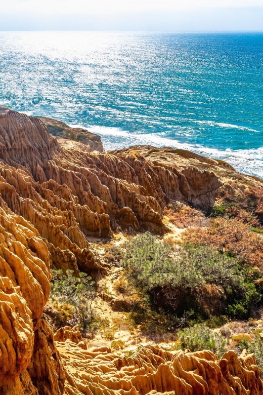 San Diego: Beaches & Bluffs Self-Guided Driving Tour - Iconic Beaches and Bluffs