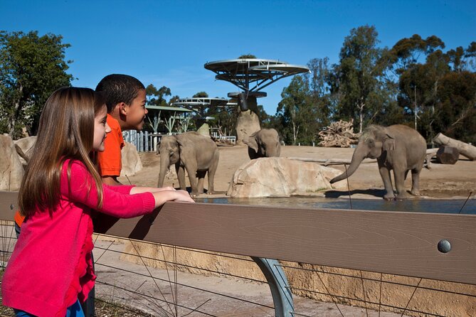 San Diego Zoo 1-Day Pass: Any Day Ticket - Diverse Animal Collection